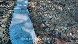 内罗毕必打卡地!谢霆锋拍《锋味》的肯尼亚长颈鹿庄园