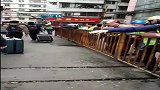 来广东的我才知道，我很帅