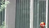 大熊猫泉泉死因公布 嫌疑人被刑事拘留-7月28日