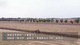 一滴寒露送秋凉！10月8日15时22分将迎来“寒露”节气