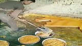 印度的蔗糖原来是这样做出来的，看到这一幕，你还敢吃吗
