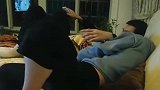 兄妹再大，一言不合一样打闹，咱也不敢说不敢问！