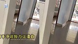 李湘租房直播垃圾成山！房东愤怒拍视频控诉，小助理发声力证清白