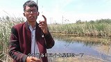 七星漂钓草洞，很久都没钓这么爽了