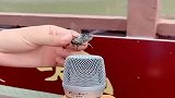 美女太会玩了，用，蝉，对着话筒叫，水柱，立马高升
