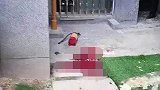 10岁男孩7楼抛下灭火器砸死邻居案一审宣判 父母判赔78万