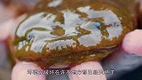 河流中出现神秘生物，老大爷意外打捞上来，吱吱叫像孩子哭！