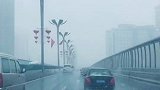 有多少人认同这句话深有同感