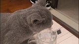 给个眼神自己去体会