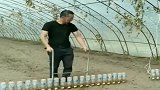 自制的播种机，1毛钱的矿泉水瓶子，现在价值100万了！