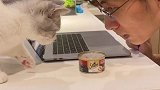 什么叫以其猫之道还至其身~铲屎官能有什么坏心眼