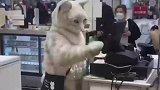 猫咪店员快给你家的猫看看