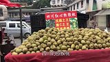 湘西老刘在老挝：实拍云南边境小镇一个猪肉摊，站了一排老板