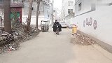 河南方言喜剧《众口难调》：要让所有人都满意？臣妾做不到啊！