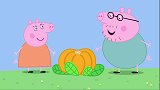 小猪佩奇：佩奇干得漂亮，撞坏了爸爸的大南瓜，可以吃南瓜派了