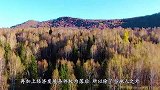 新疆湖泊发现“水怪”，牛羊靠近就被拖走吃掉，专家：瞒不住了？