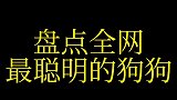 我高考的时候就是抄的他们的