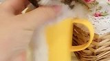 超小体妹妹