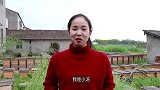 滴纸渗透、少铁丝、加水摇晃，真的可以分辨真假蜂蜜吗？看蜂农说