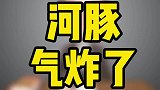 你们快看河豚气炸了
