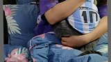 每天都要抱着摇一会儿！可爱 猫 铁定宠你