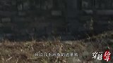 河北老农潜藏东陵十余年，假装弹棉花，暗地里差点把清朝皇陵搬空