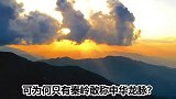 秦岭为何被称为“中华龙脉”？这五大原因，让它当之无愧