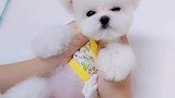 你需要暖床吗