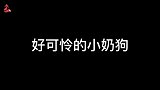 像被奶奶叫回家吃饭的我，手上有棍子，我却从没挨过打