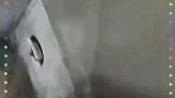你好像有那个大病，我吃你家大米这样追我