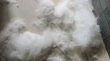 给狗子洗澡厨房门忘记关了，此刻我应该是什么心情呢？很崩溃啊！