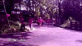 跑步-15年-粉红跑个人定制MV：选手编号0836-专题