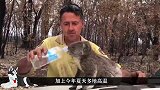 饥渴的考拉闯入民宅狂喝水，狗狗发现后舔鼻子安慰：别怕，多喝些