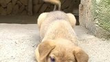 你是不是也想快点长大呢？