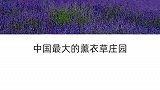 这些旅游的圣地你去过吗