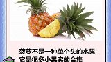 这些食物冷知识，绝对颠覆你的认知