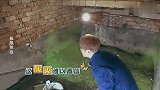 罗志祥铲鹅粪想吐，黄渤：见孙红雷有这样的感受！明星干农活合集