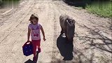 3岁女童带领幼年犀牛蹒跚学步画面温馨