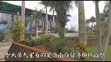 海南130平绕城商墅，小合院、半开放合院室外大面积平台开窗