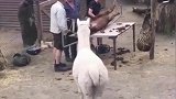 没事儿不要瞎看热闹容易把自己看成热闹