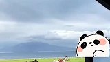 游客拍骏马！两汉服小姐姐入境，这是神仙下凡吗