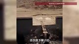 藏马熊坠入4米深的垃圾场，警民搭梯子成功营救，网友：看得出来人和熊都瑟瑟发抖
