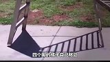 让人难以相信的事