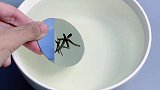 神奇的白板笔在控笔这里，还能写出漂浮的字，一起来玩