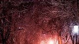 人这一辈子总是在等，等将来、等不忙、等下次、等时间、等条件、等有钱、等没了选择…