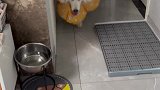 原来打哈欠真的会传染