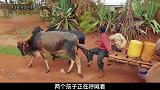 10岁哥哥每天学习做生意，只为让弟弟筹够学费，两兄弟相依为命