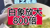 白象方便面最干净？显微镜下都无任何杂质，不愧是国货之光