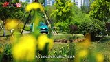 穿梭石象湖，跟瑞虎7一起寻找绿水青山