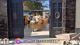 大衣哥原谅陈亚男，亲力亲为打造园林迎儿媳回家，旧院子也有同款
